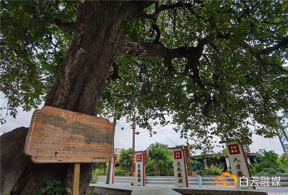 白云农村设计的房子,白云村还建房