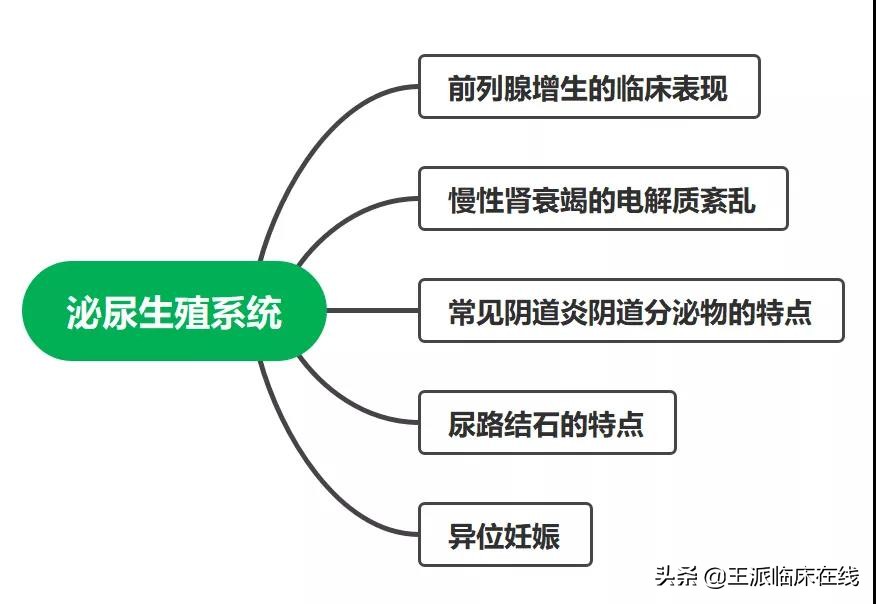 涔℃潙鍏ㄧ瑙嗛璁插骇娉屽翱绯荤粺,涔℃潙鍏ㄧ鐪熼瑙ｆ瀽灏胯矾缁撶煶