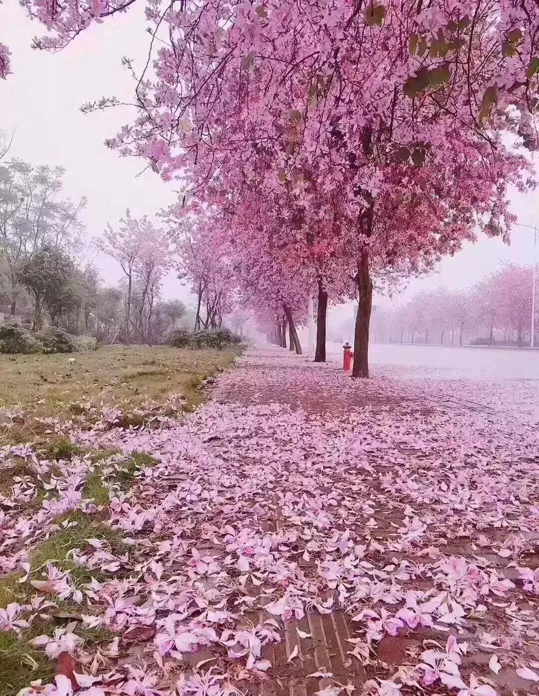 广西有座小城,广西的一座小县城