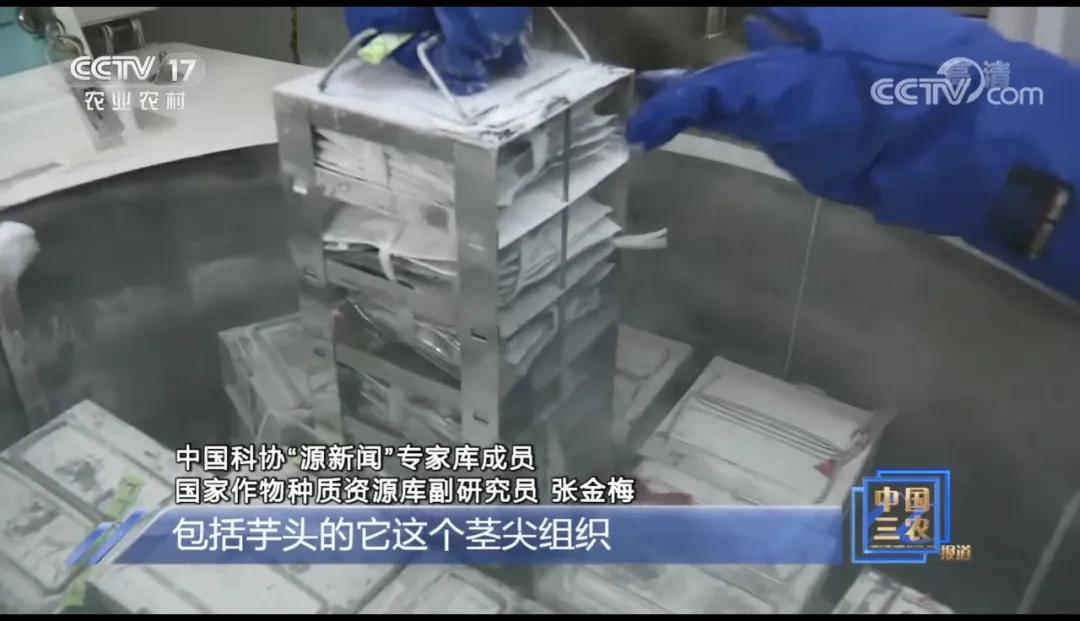 种子如何进入种质库,什么样的种子才可以选入种质库