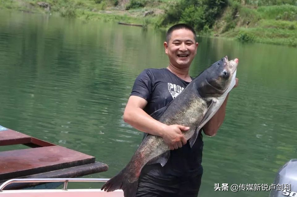 石泉小石头啵啵鱼团购,小石头啵啵鱼石泉店