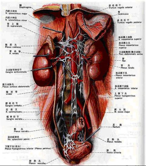 你的核心有多重,你的核心在哪里
