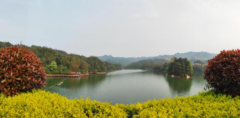 10元钱，住一晚四星级酒店，吃三顿自助餐，它不香吗？