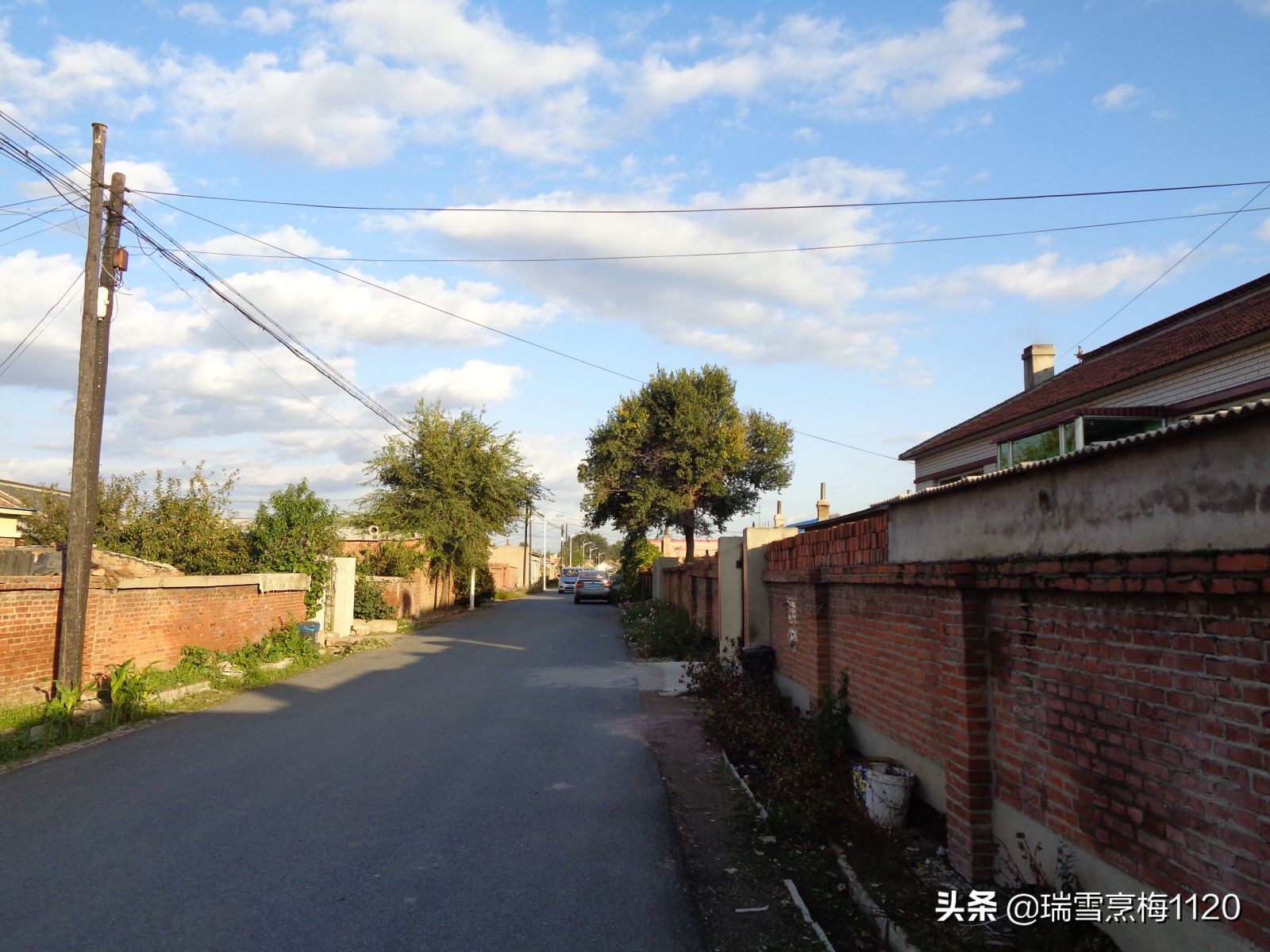沈北新区依路村,沈北新区马刚乡地图