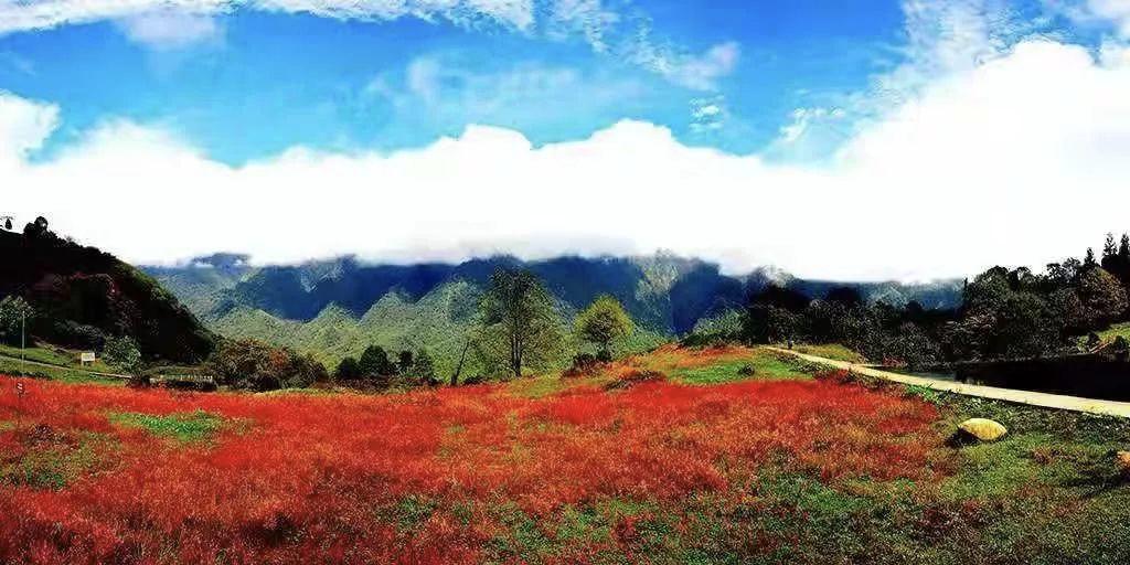红了！黑竹沟迎来颜值巅峰，分分钟带你穿越五彩童话世界