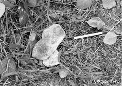 轰动韩国的杀人碎尸案,轰动韩国的案件完整版