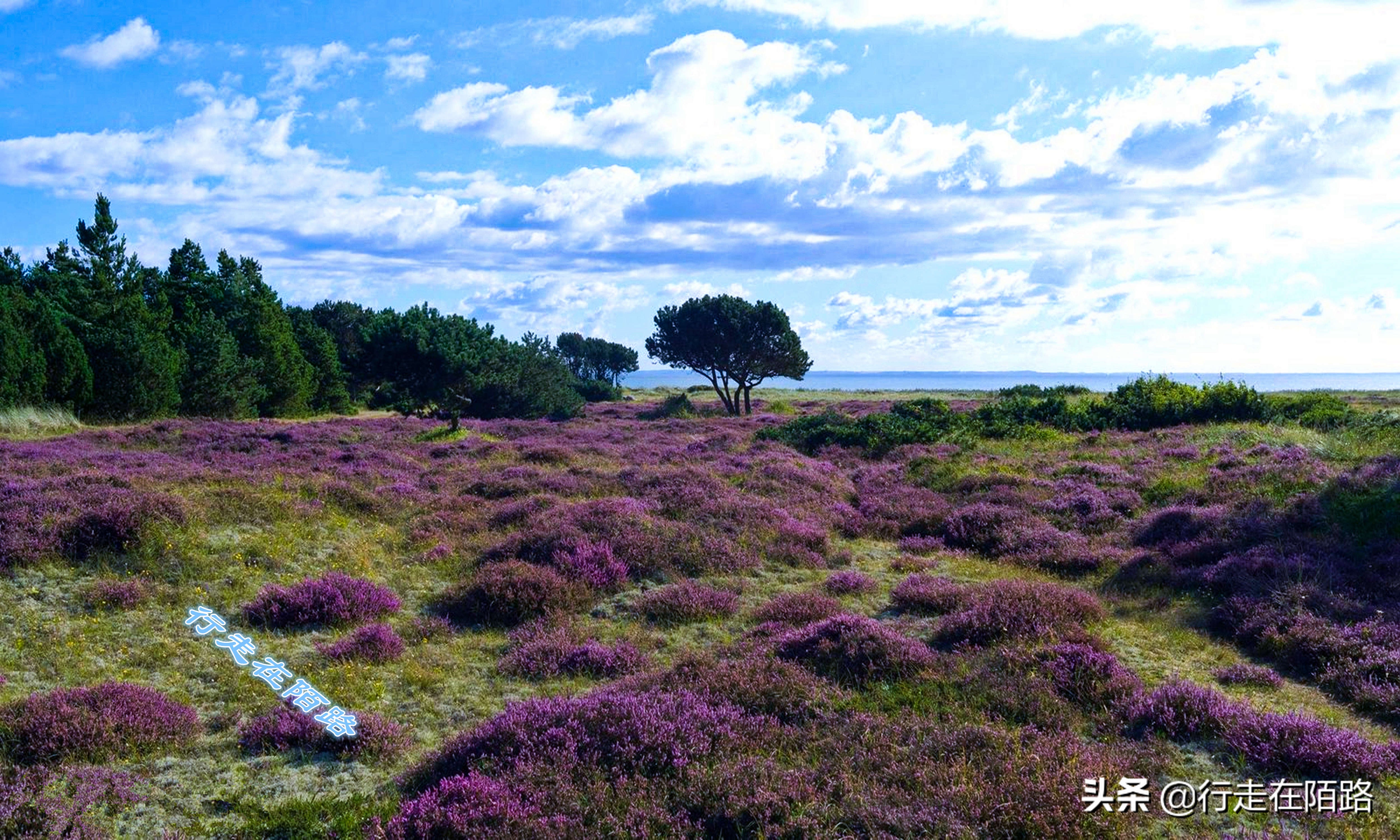 最廉价的房子,最廉价的房子建造