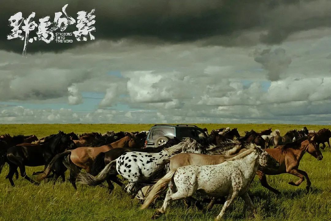 这位士力架广告里走出的男孩,成了电影里的“野马”