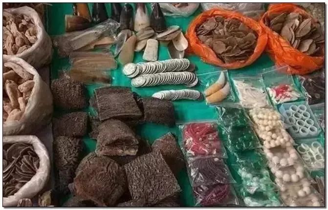 文玩背后的阴暗——鲜血淋漓惨不忍睹！人性居然能恶毒到如此地步