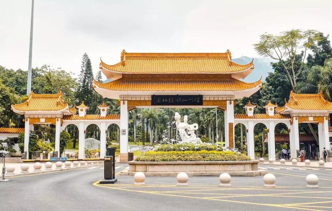 隐藏在梧桐山里的世外桃源,深山独门独户世外桃源