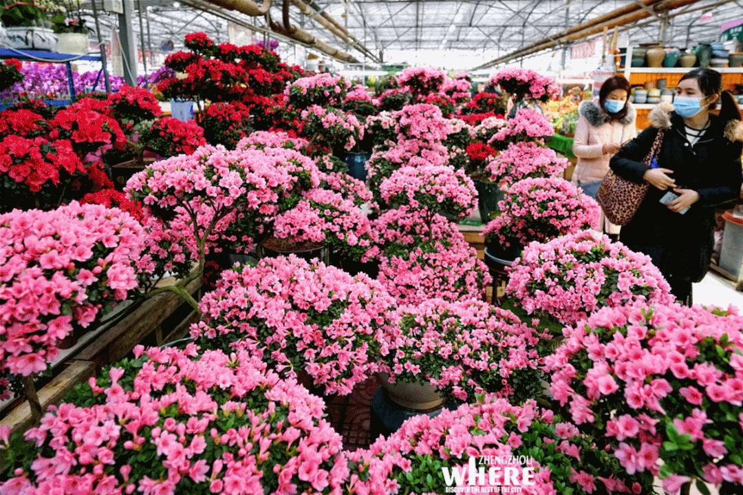 【双语听读】AtmosphereofSpringFestival年味儿郑州