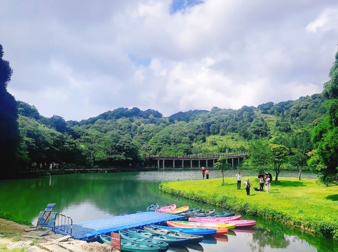 广西森林露营最佳的十大地点,广西高峰森林公园星空露营