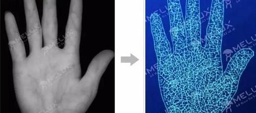 刷脸支付美国隐患,亚马逊刷手犯法吗