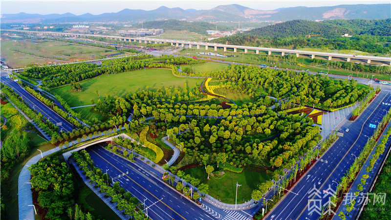 麒麟科创园东片区中科系,南京麒麟科技创新园的未来