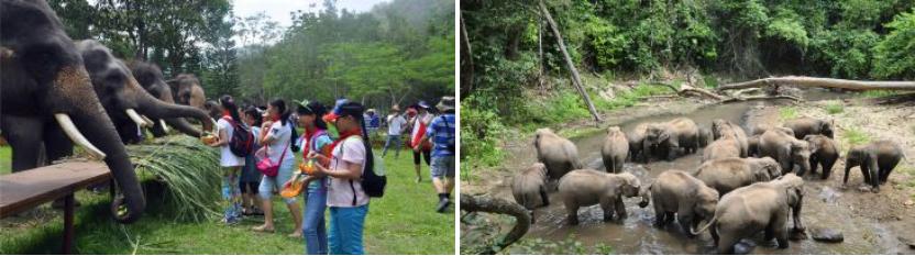 西双版纳景点、门票大全