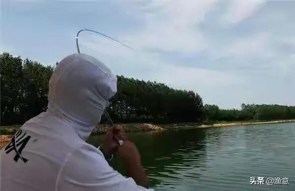 冬季大鱼进窝不咬钩怎么办,大鱼都进窝了还能钓吗