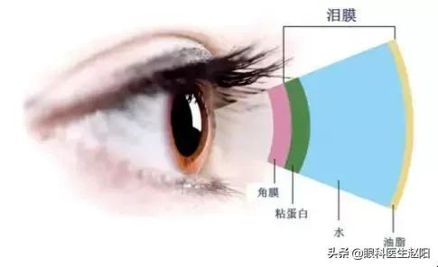缓解干眼症的眼药水有哪些,缓解干眼无防腐剂眼药水
