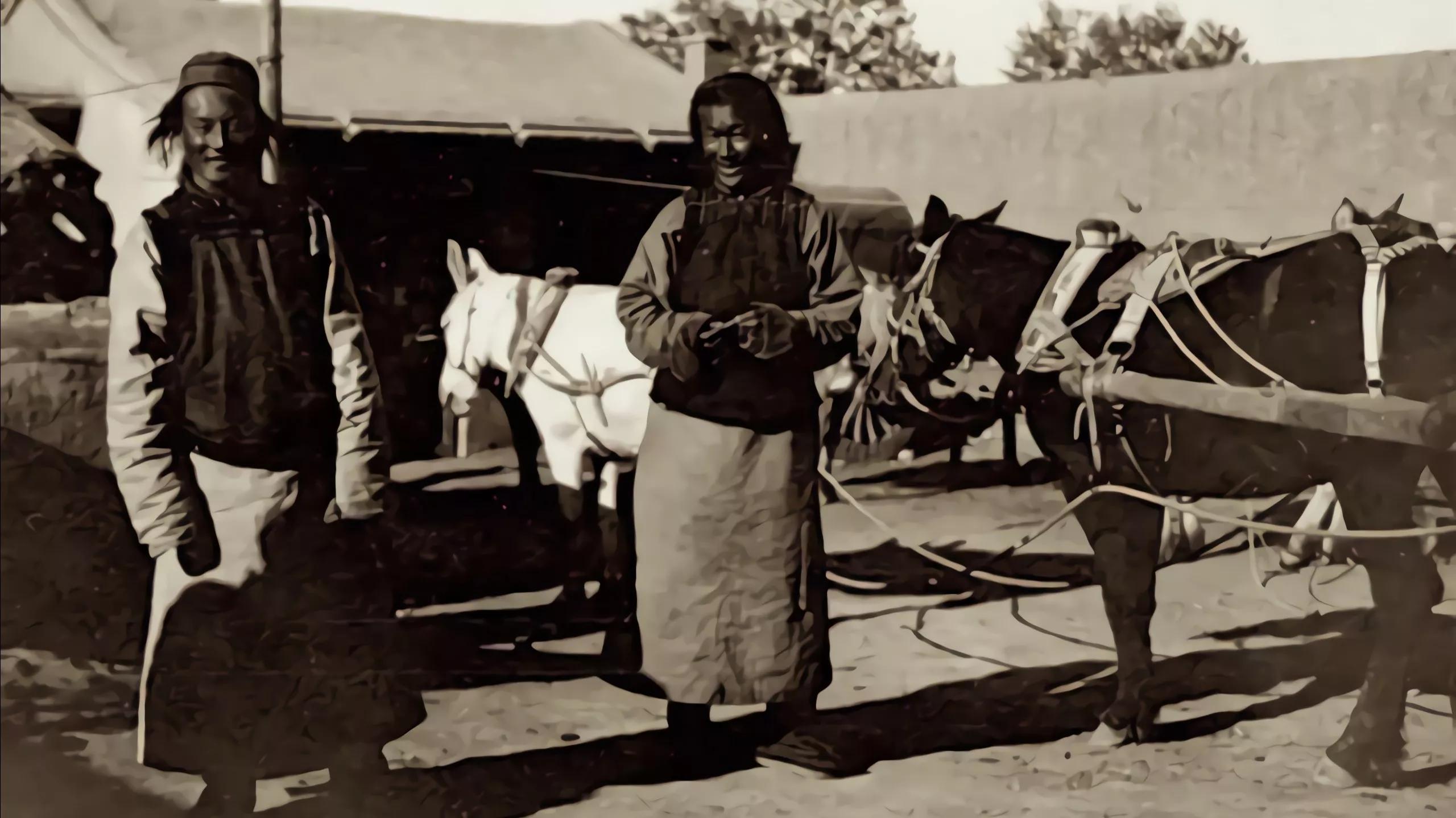 辽海绿林人魏老尚:吃藏买短开黑店,越货杀人不眨眼