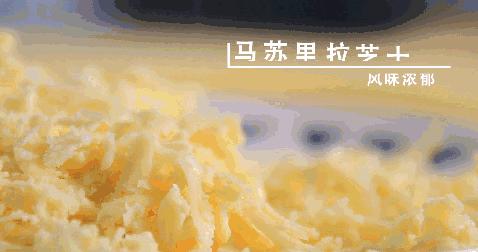 顶级披萨配方,可口的披萨所有的披萨配方