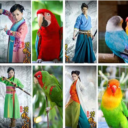 于正四年二十部剧,市场说没就没的文案