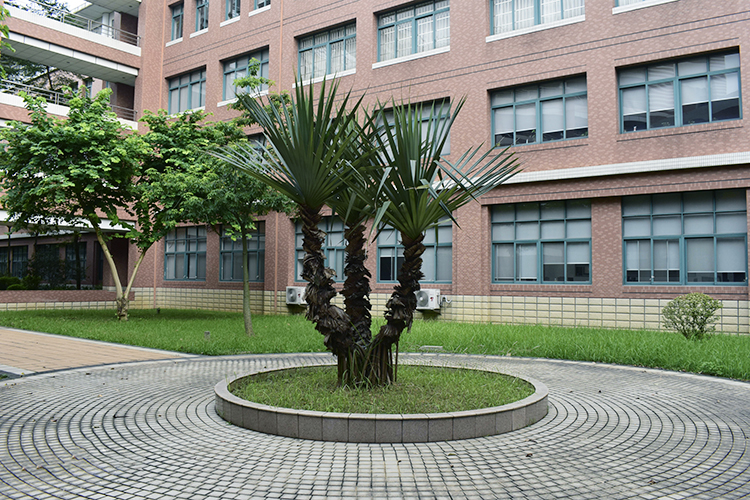 广东就业率高的专科院校,广东第一大专