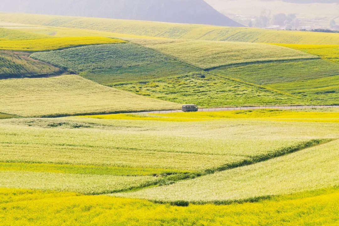 手机外置长焦拍摄效果,外出拍摄相机推荐