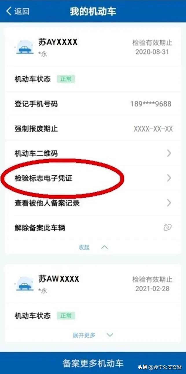 机动车检验标志电子化全面推行,机动车检验合格标志解读