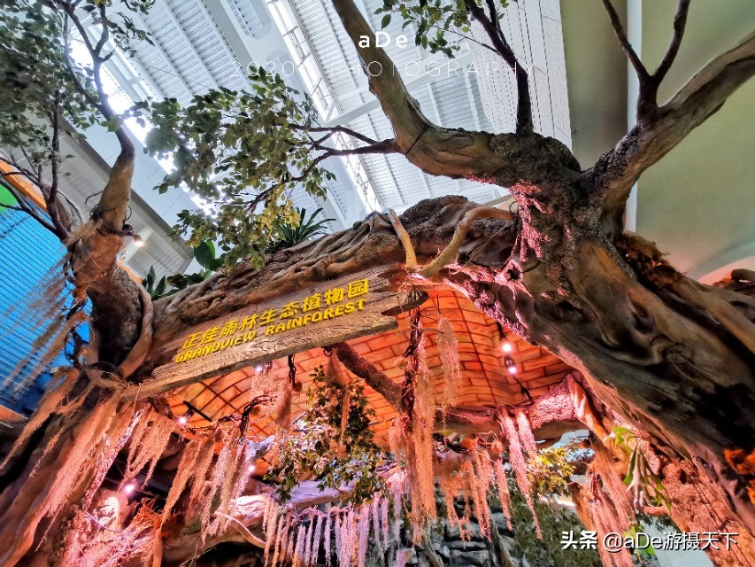 广州正佳广场哪个馆最值得玩,广州值得打卡的地方正佳广场