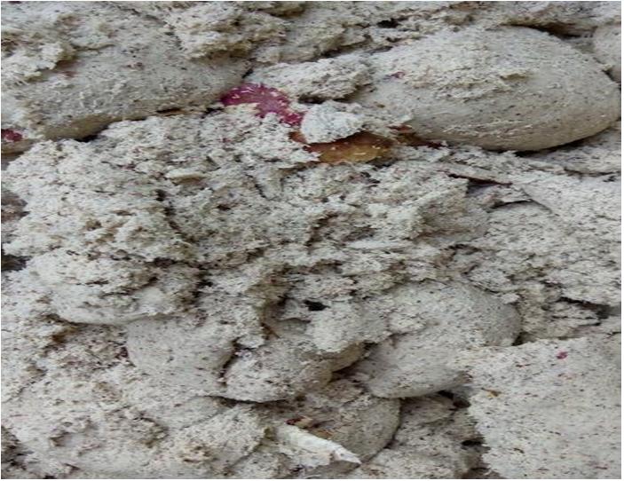 纯红薯淀粉生产视频,红薯淀粉怎么制作