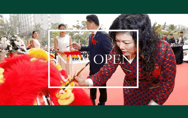 沙发芝华仕和顾家哪个好,顾家和芝华仕沙发哪个品牌质量好