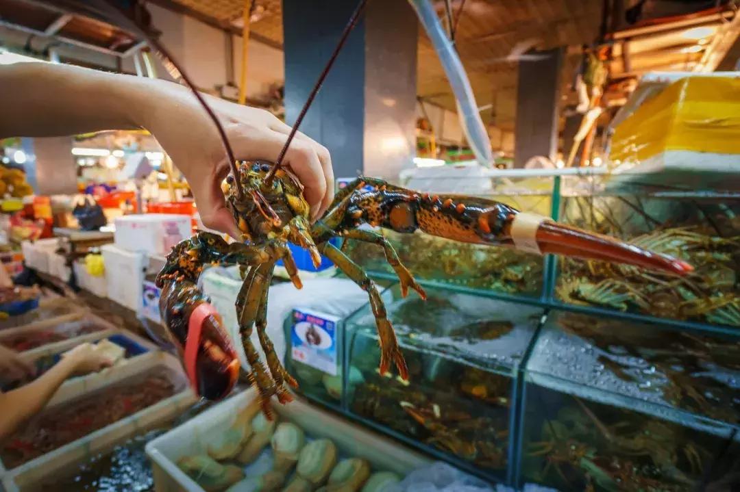 三亚出游的攻略路线怎么走得快些,三亚旅游新路线