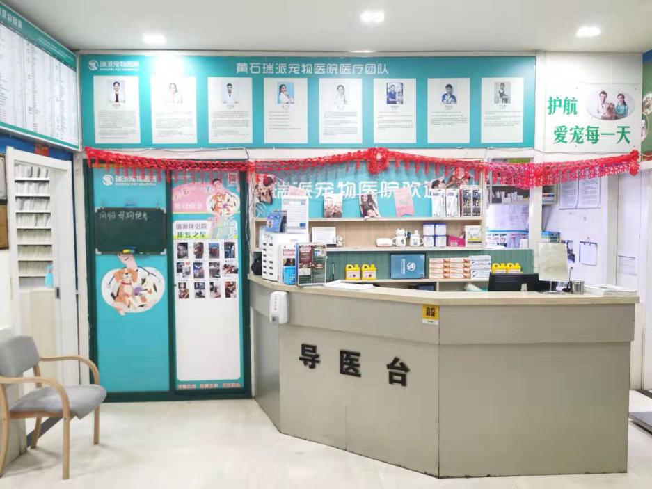 漳州瑞派宠物医院冠城分院,深圳瑞派宠物医院靠谱吗