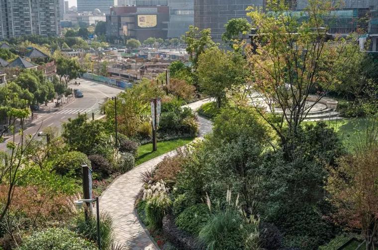 居住区植物景观设计原则,景观设计干货