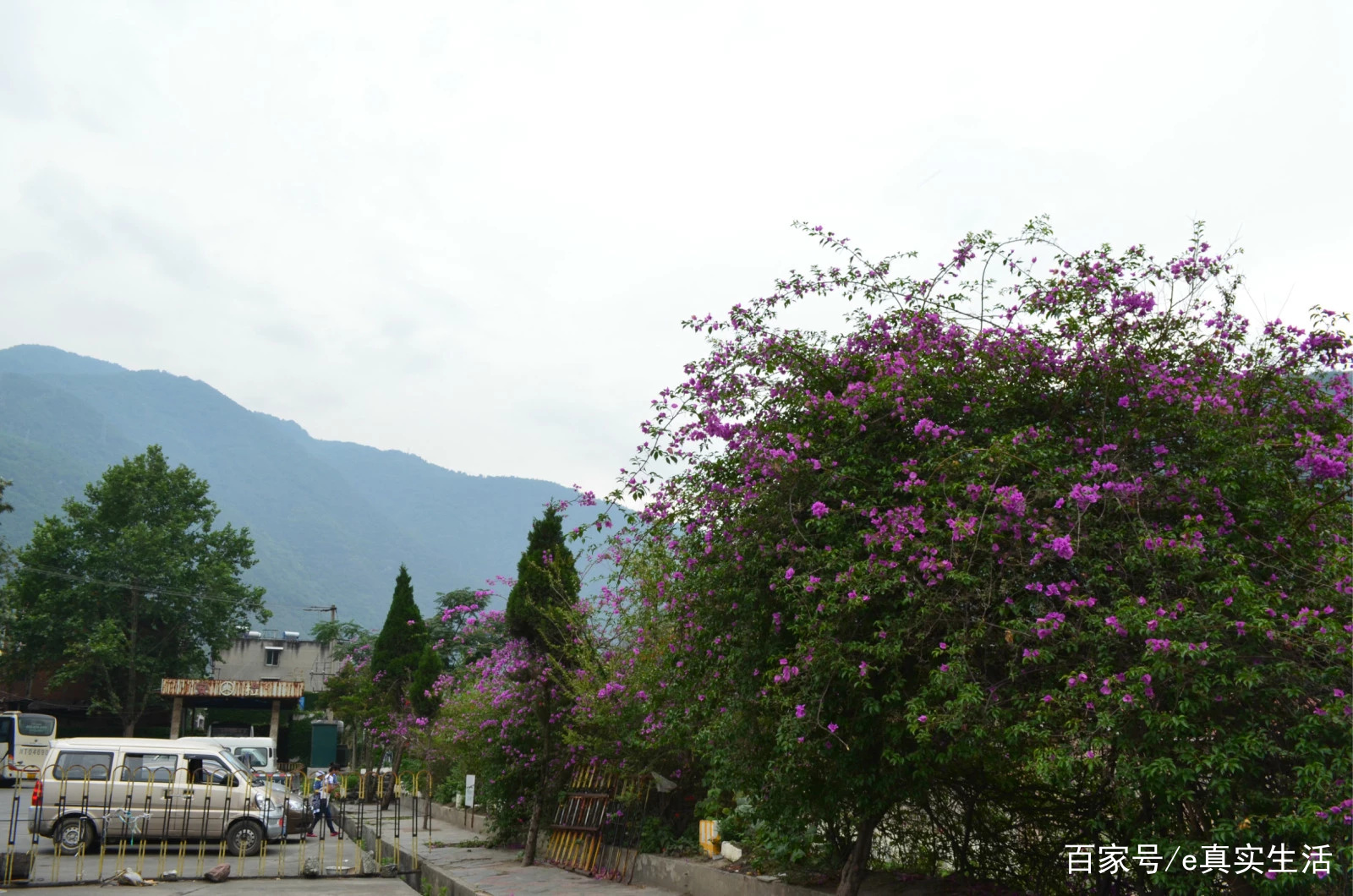 上里古镇，一个名副其实的古镇，人很少，跟丽江大研古城有的一比