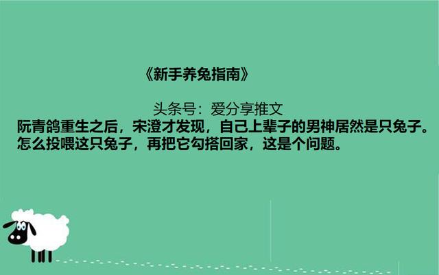 男主是毛绒绒的小动物小说 (男主是毛绒绒的动物宠文)