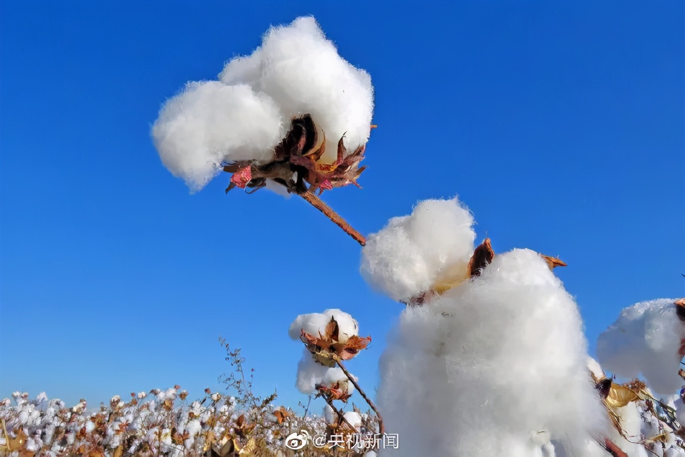 hm耐克阿迪,hm耐克优衣库阿迪达斯