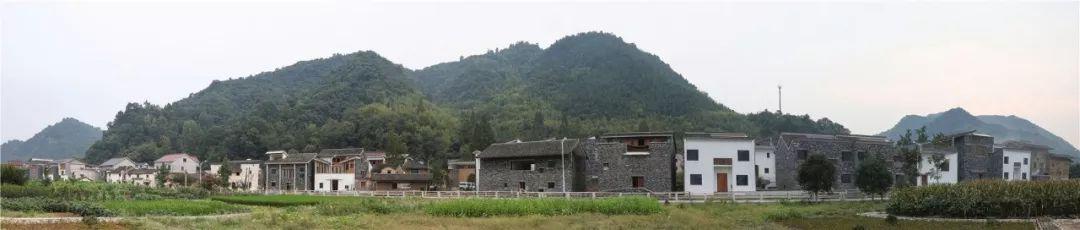 王澍和杭州,文村王澍