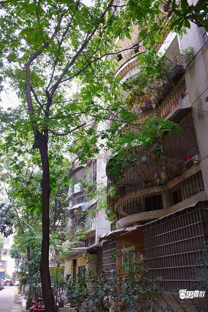 在番禺居住怎么样,在广州番禺哪里住得舒服