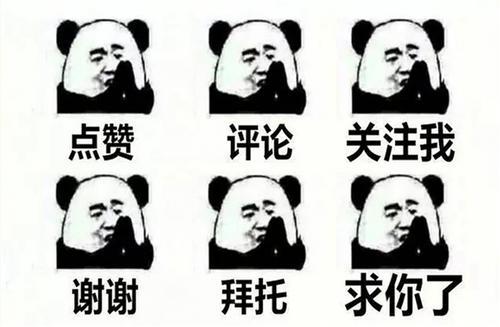 使用这七招实用方法,母猪受孕更简单