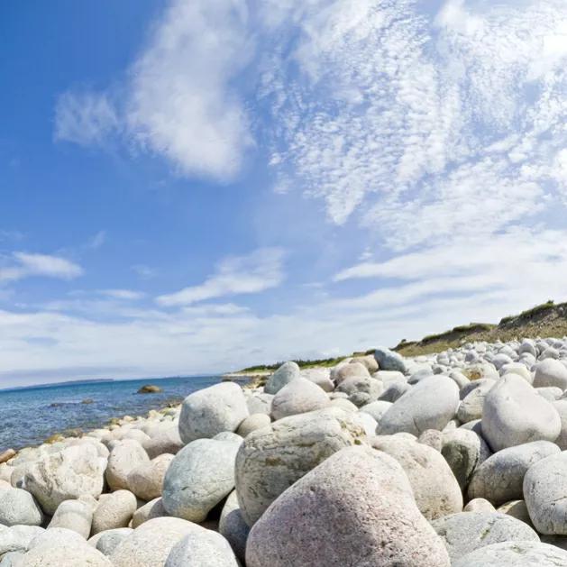 老婆有精神病老是提出离婚怎么办,老婆患精神病老公可以提出离婚吗