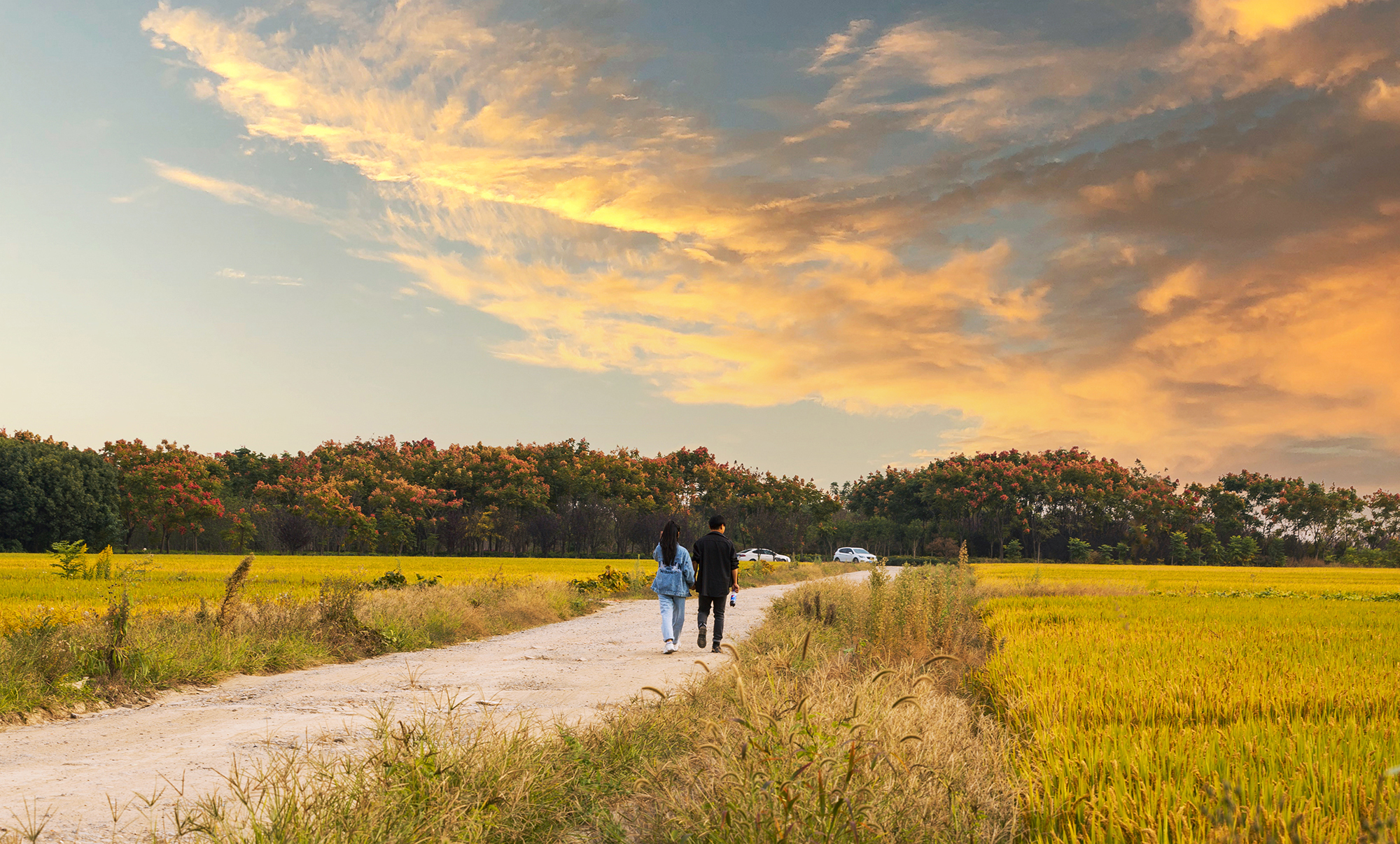 苏州澄湖国际慢城订票,苏州澄湖国际慢城团购