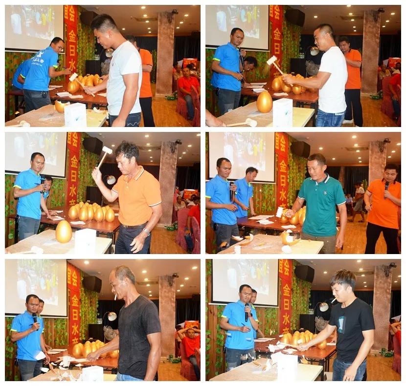 石斑鱼寄生虫类疾病防控技术,石斑鱼孢子虫最佳防治方法