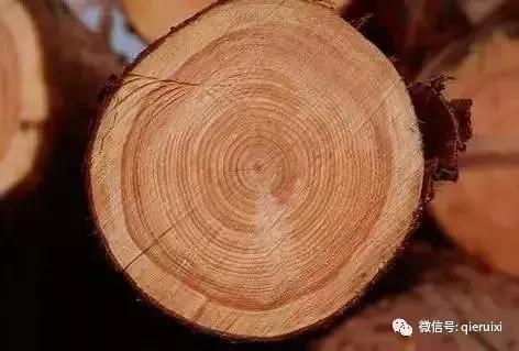 十种实木家具木材,各类实木家具介绍