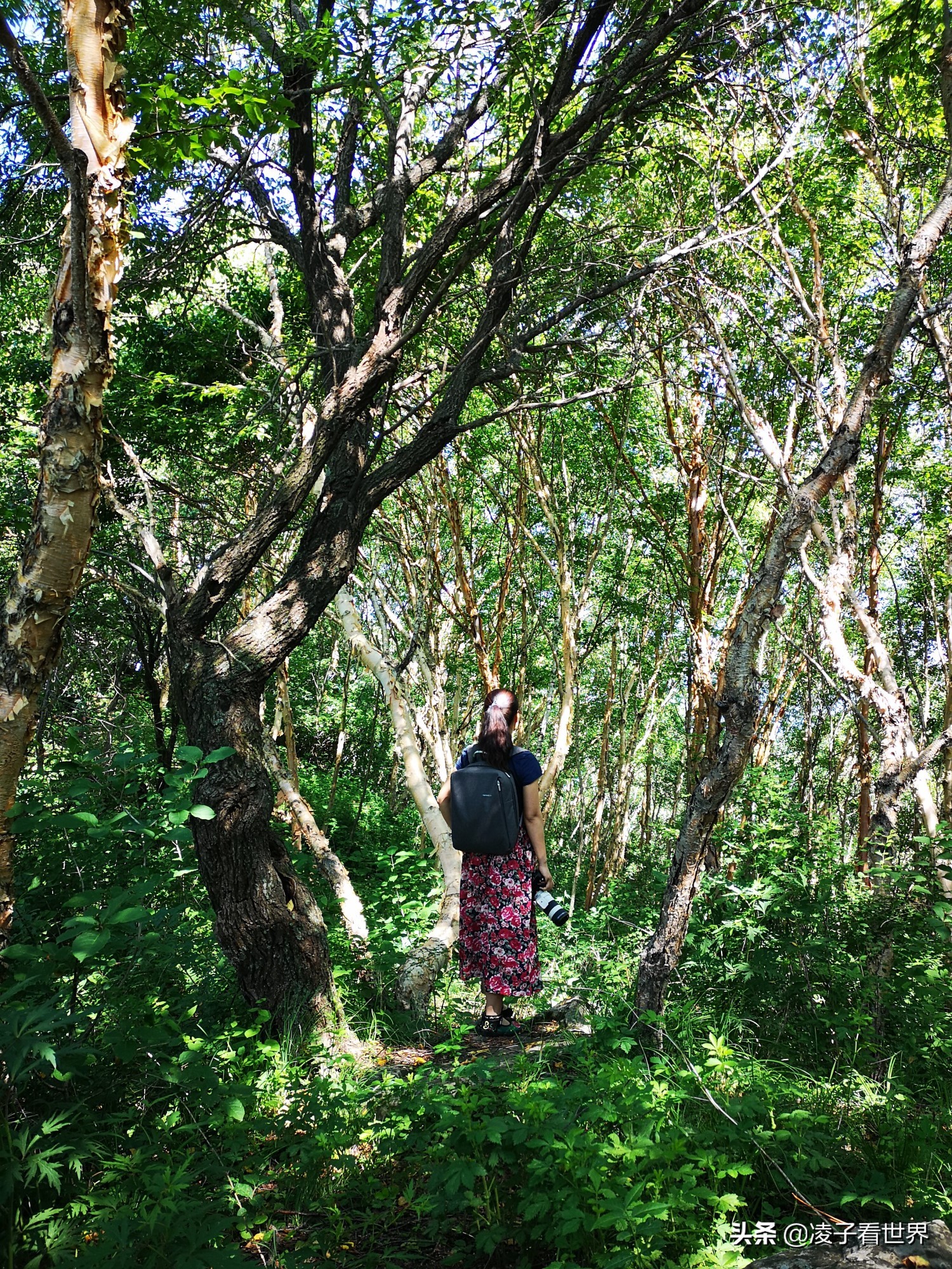 逃离北京40度高温,房山享受22度清凉,看银狐,逛古街吃铁锅炖