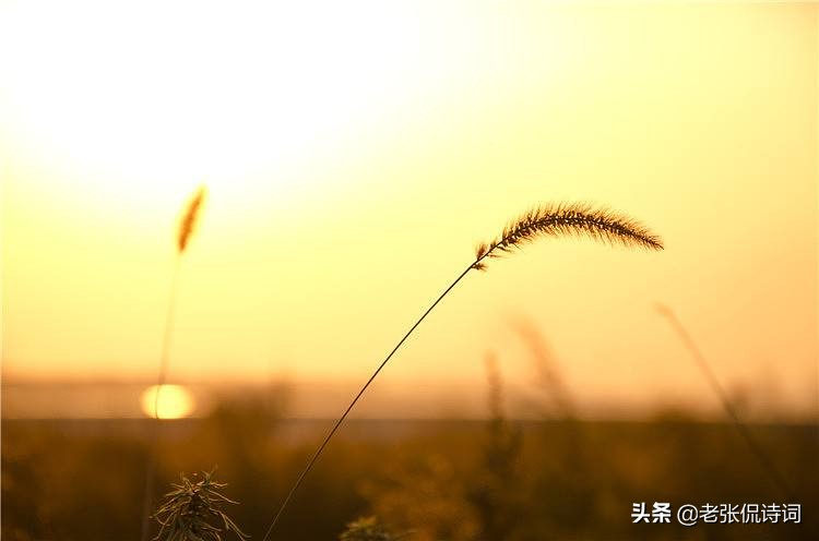 王维笔下最诗意的田园,10个字的唐诗中,有我们回不去的童年