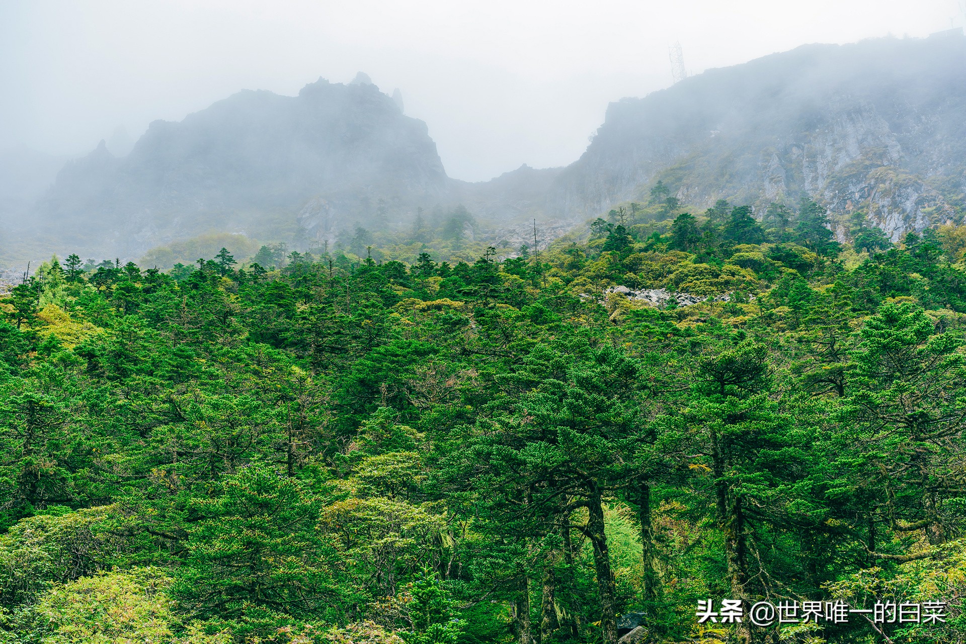 康定情歌川西旅游,318川西康定木格措
