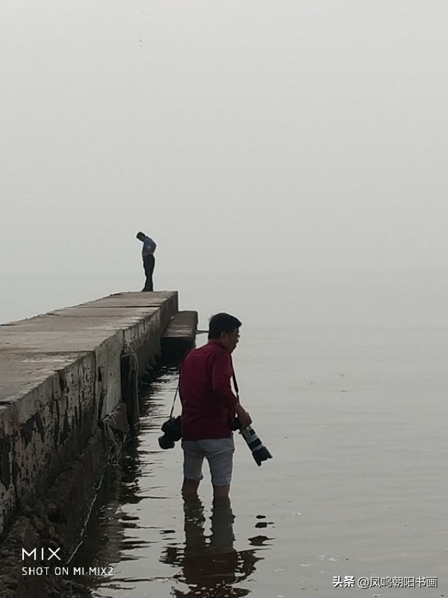 北戴河鸽子窝公园旅游攻略,北戴河鸽子窝一日游