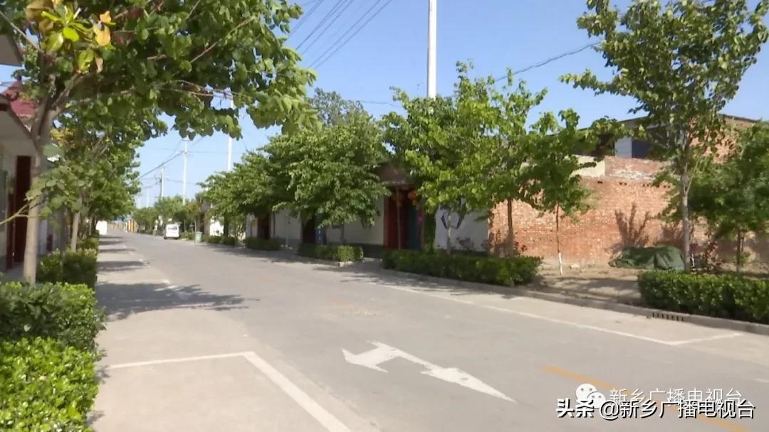 新乡县2020年的乡村振兴,河南新乡乡村振兴战略