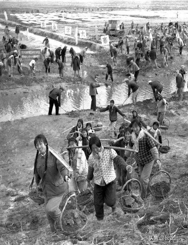 知青往事50年后回知青点,知青点的青春回忆