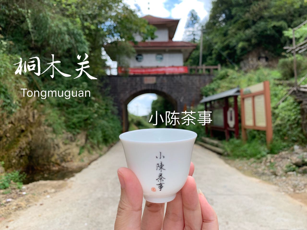 白毫银针和金骏眉是同一种茶底吗,绿茶龙井红茶金骏眉白茶白毫银针
